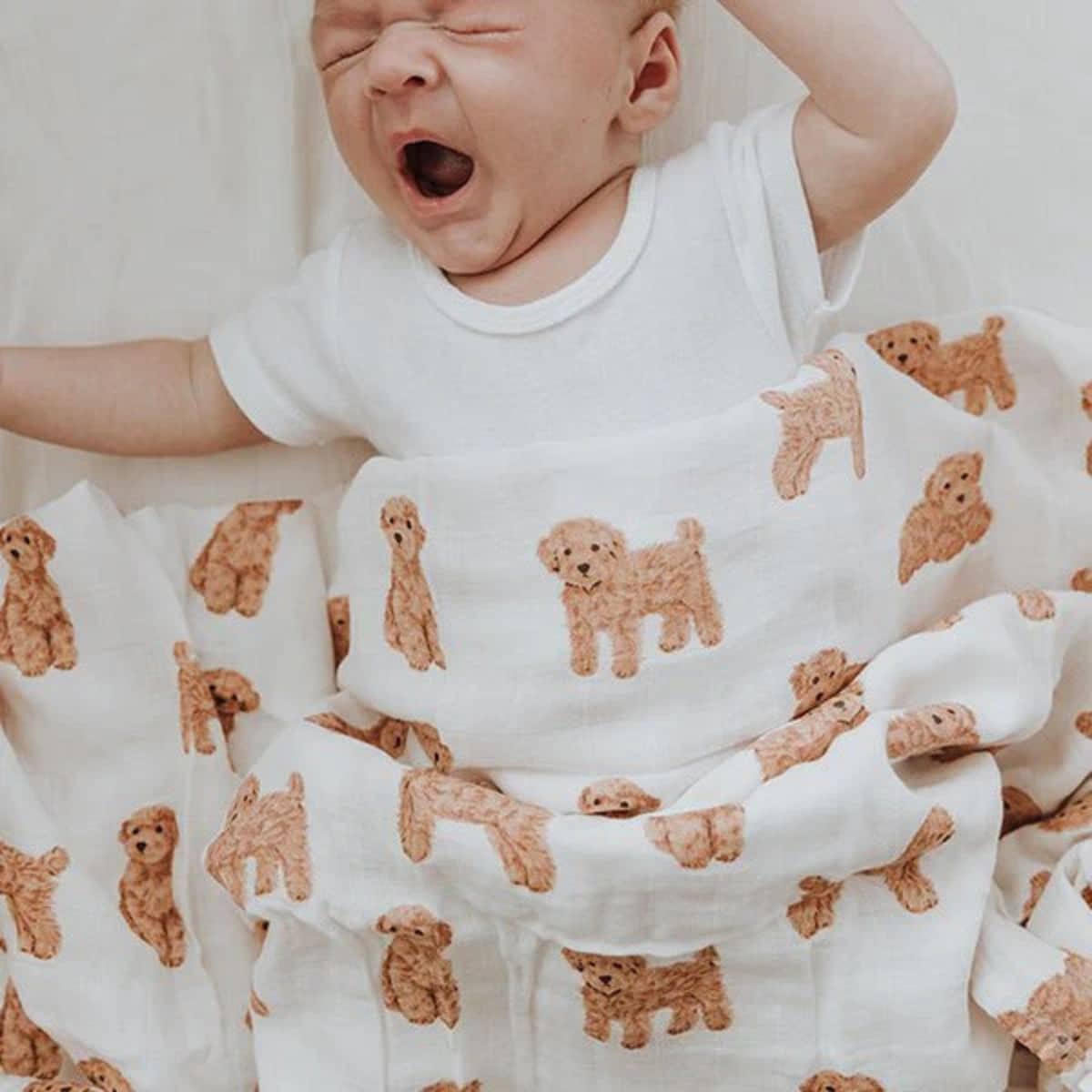 Smitten Bub Co Bamboo / Cotton Muslin Wrap - Cavoodle