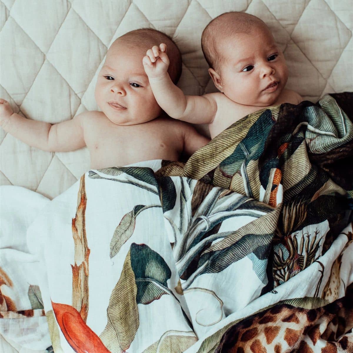 Snug as a Bub Organic Cotton Muslin Swaddle - Wild One