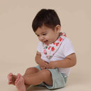 Snuggle Hunny Bandana Dribble Bib - Strawberry