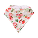 Snuggle Hunny Bandana Dribble Bib - Strawberry