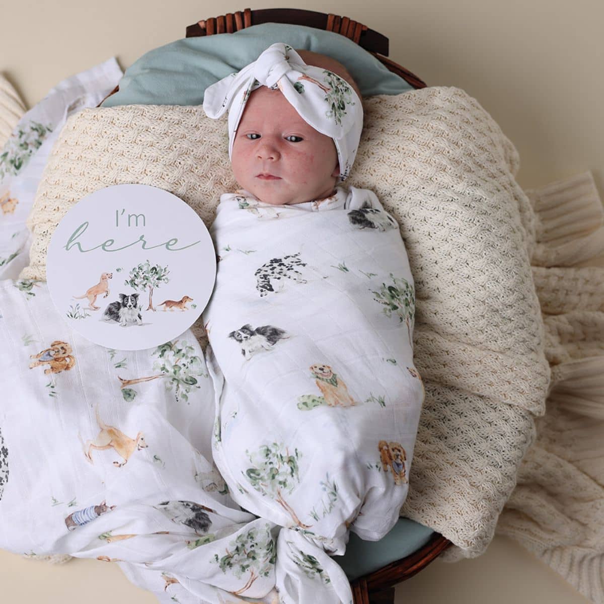 Snuggle Hunny Muslin Wrap - Dog Park