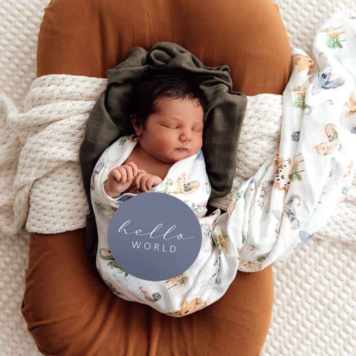 Snuggle Hunny Reversible Milestone Cards - Dragon and Indigo