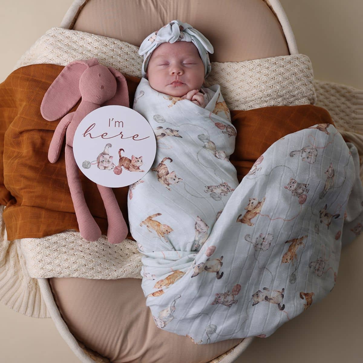 Snuggle Hunny Reversible Milestone Cards - Kittens and Pebble