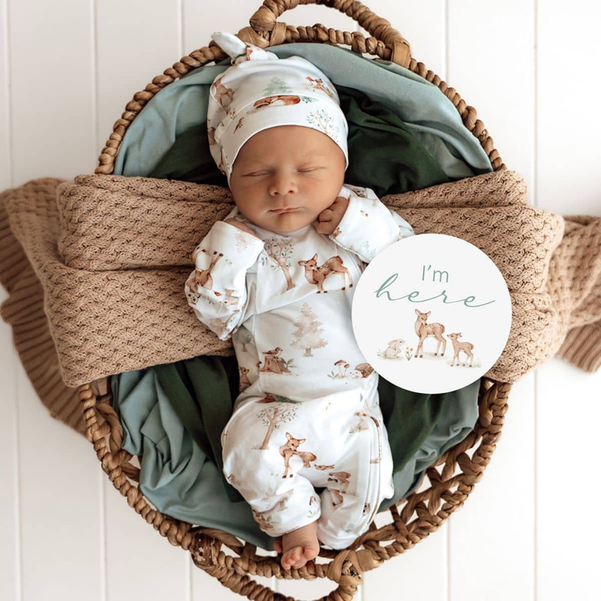 Snuggle Hunny Reversible Milestone Cards - Woodland Tales and Pebble