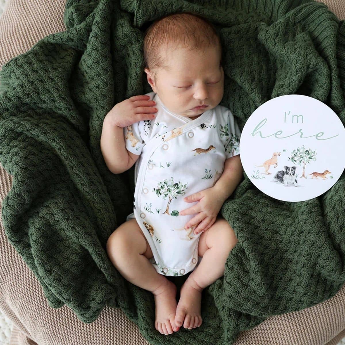 Snuggle Hunny Short Sleeve Kimono Bodysuit - Dog Park