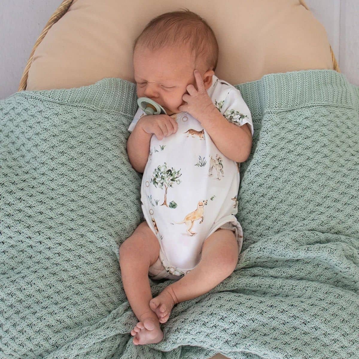 Snuggle Hunny Short Sleeve Kimono Bodysuit - Dog Park