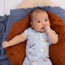Snuggle Hunny Snuggle Shortie - Taking Flight