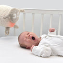 Sweet Dreamers Ewan the Sheep - Deluxe Baby Sleep Aid - Beige