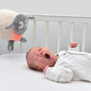 Sweet Dreamers Ewan the Sheep - Deluxe Baby Sleep Aid - Grey