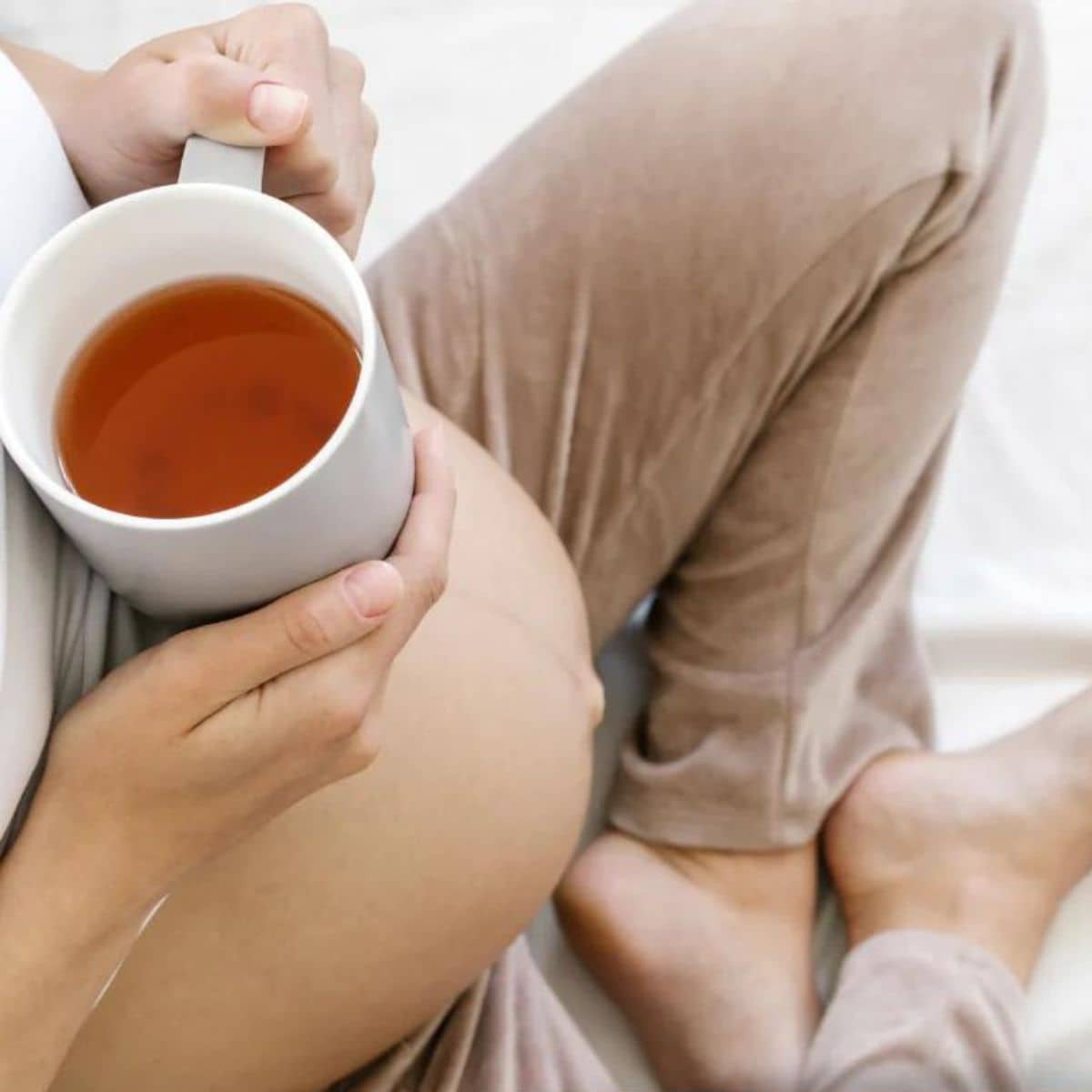 The Breastfeeding Tea Co - Pregnancy Tea