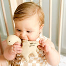 Winnie Parkes Natural Rubber Teether - Diplo the Dino-Dragon - Natural Brown