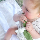 Winnie Parkes Rattle and Scrunch Teether - Banks the Koala