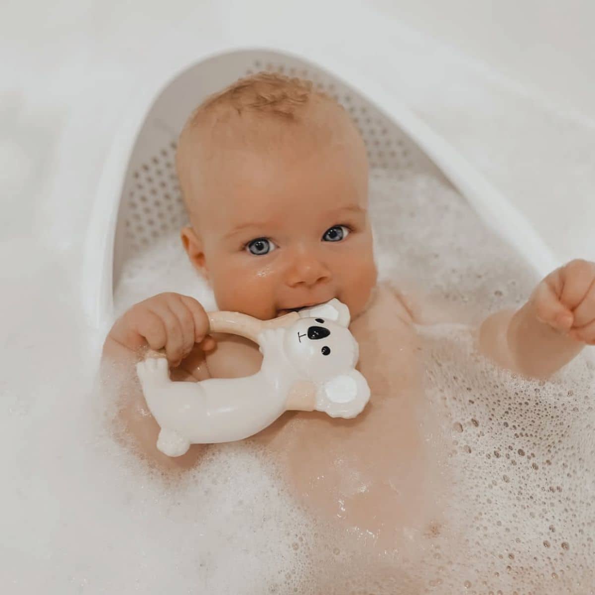 Winnie Parkes Teething Ring - Banks the Koala