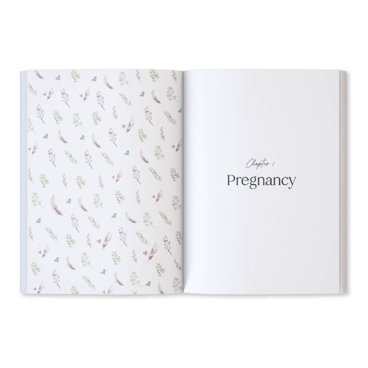 Written With Love Baby Memory Book with Keepsake Box - Pregnancy