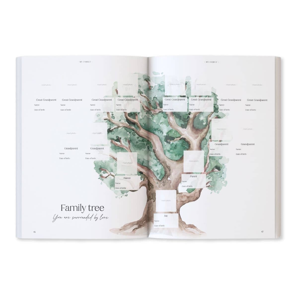 Written With Love Baby Memory Book with Keepsake Box - Family Tree