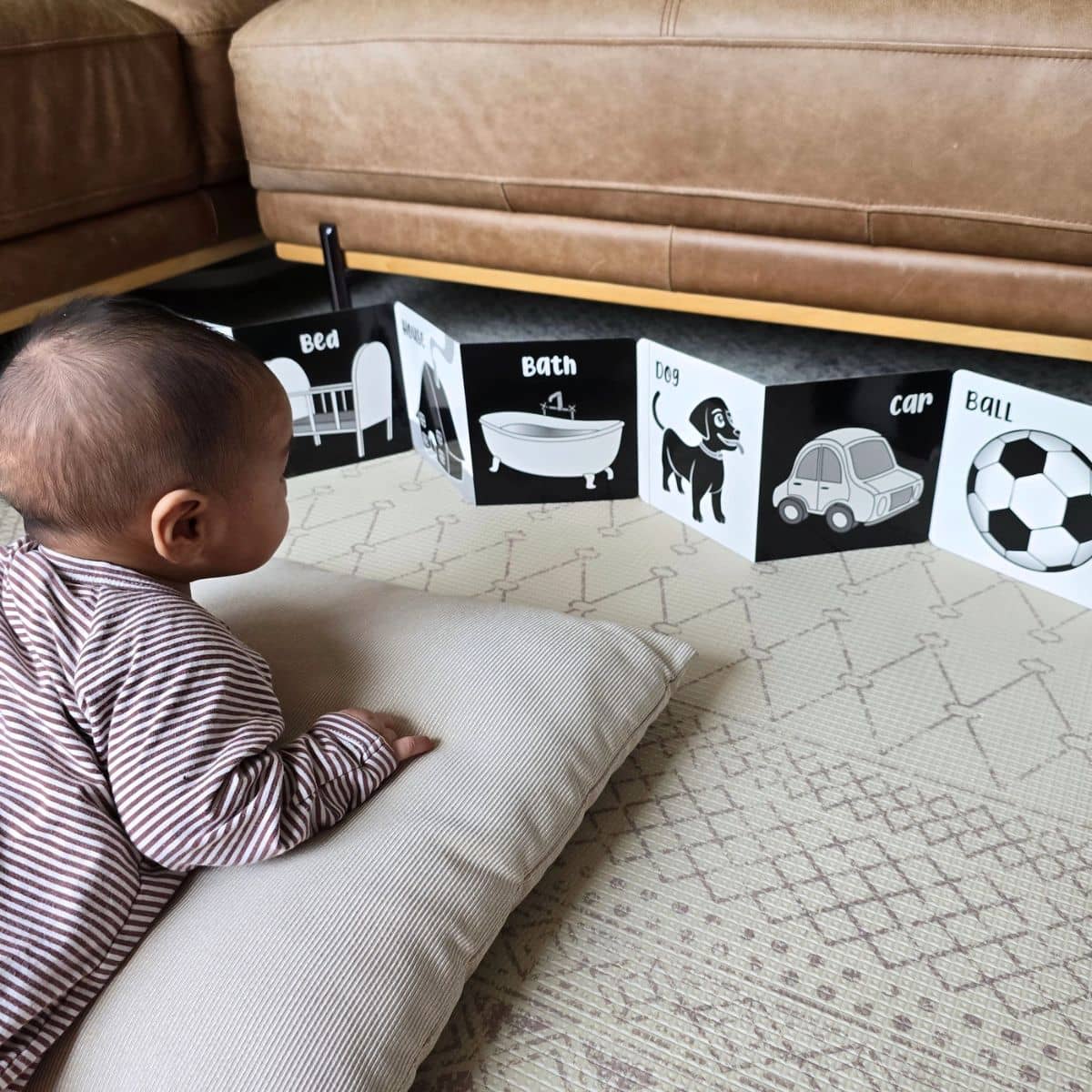 Young Wonderer Black and White Baby Book - Welcome to the World
