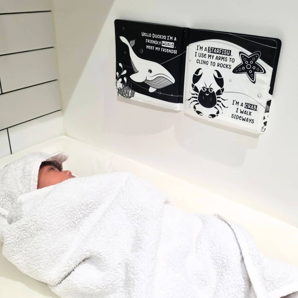 Young Wonderer Black and White Bath Book - Duckie Goes On An Adventure