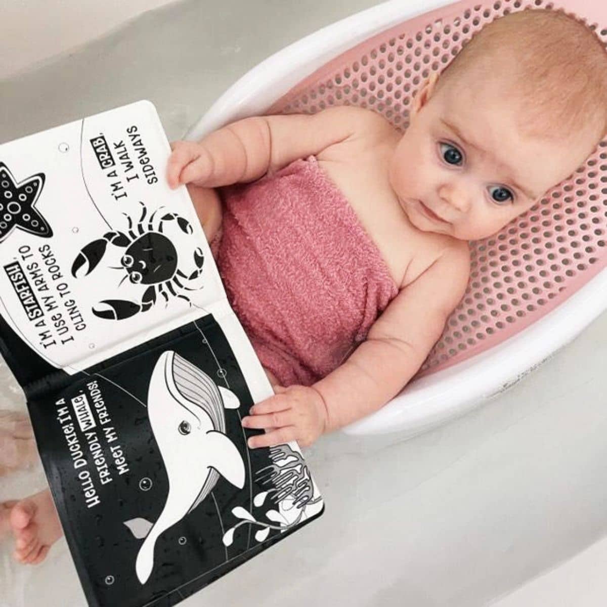 Young Wonderer Black and White Bath Book - Duckie Goes On An Adventure