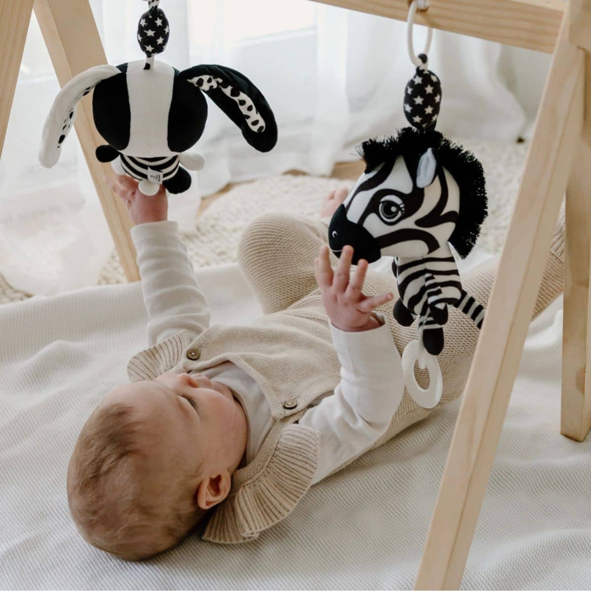 Young Wonderer High Contrast Sensory Hanging Toy - Ziggy the Zebra