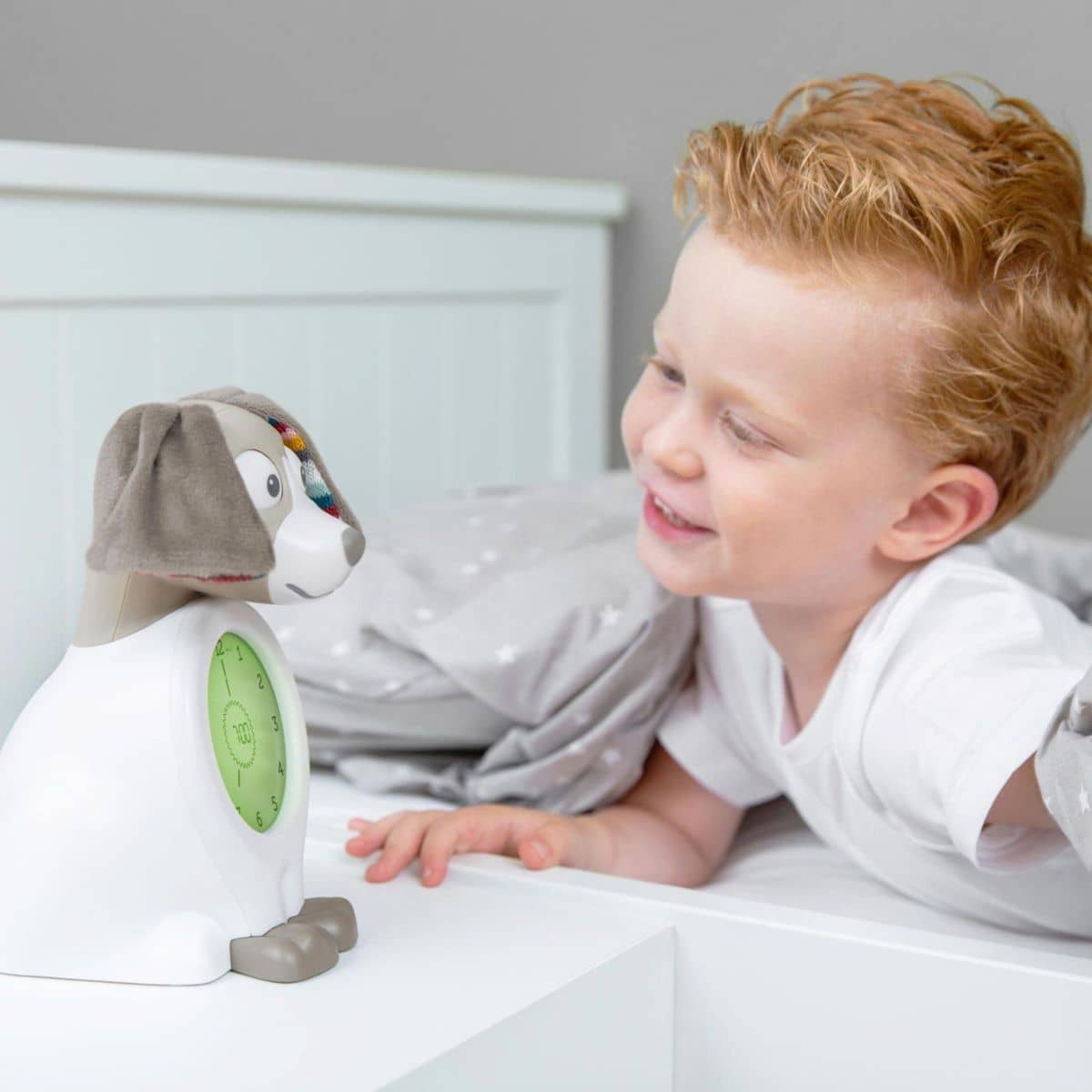 Zazu Sleeptrainer - Davy the Dog