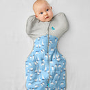 Love to Dream Swaddle UP Warm 2.5 TOG - Silly Goose Blue