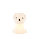 Mr Maria Miffy and Friends Bundle of Light - Snuffy