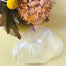 New Beginnings Silicone Nipple Shields
