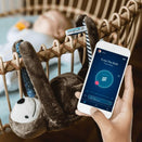 Whisbear E-zzy the Sloth Sleep Monitor