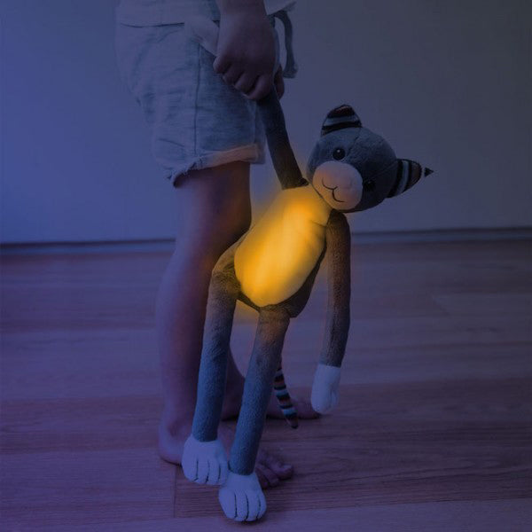 Zazu Soft Toy Nightlight with Melodies - Katie
