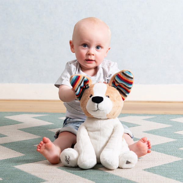 Zazu Peek-a-Boo Soft Toy